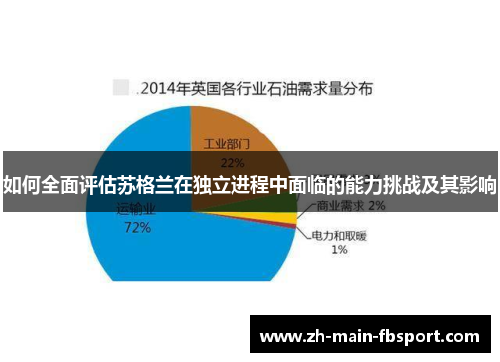 如何全面评估苏格兰在独立进程中面临的能力挑战及其影响