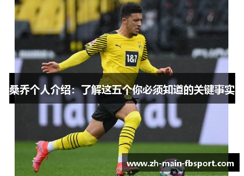 桑乔个人介绍：了解这五个你必须知道的关键事实