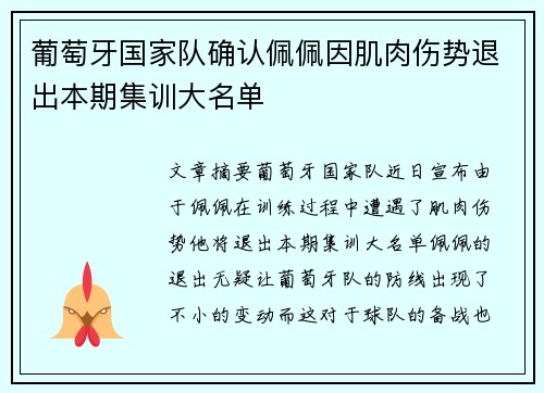 葡萄牙国家队确认佩佩因肌肉伤势退出本期集训大名单